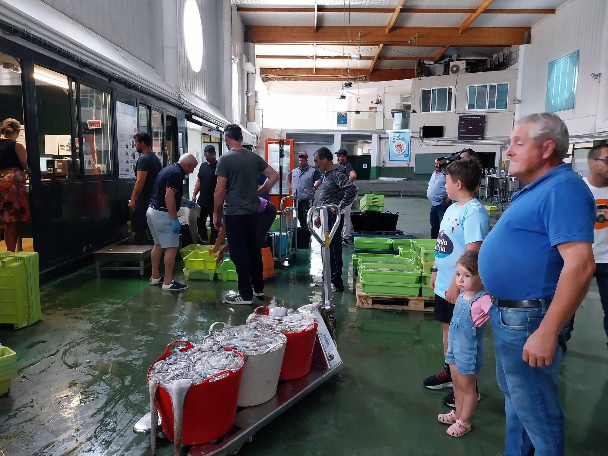 El inicio de la campaña del pulpo en el puerto de Bueu