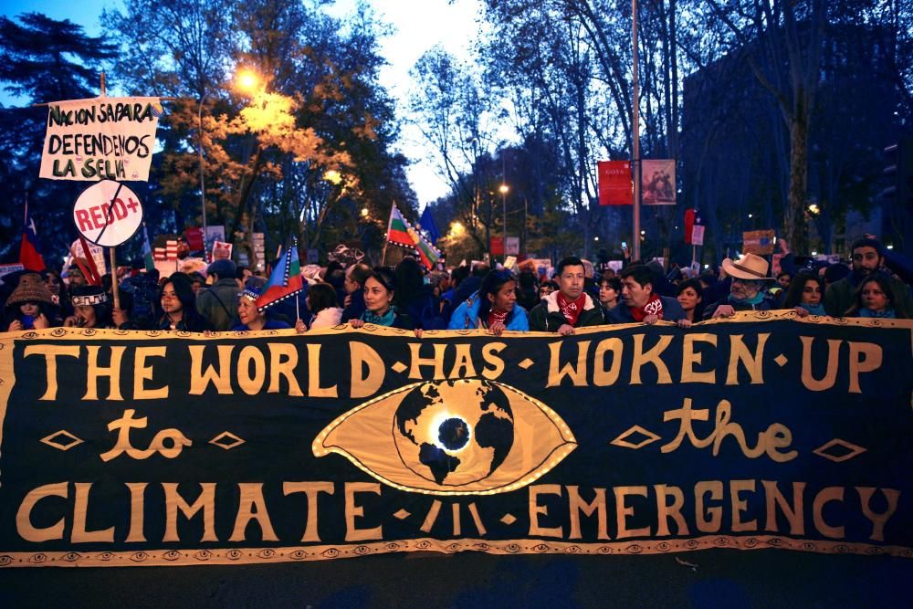 Multitudinaria marcha por el clima en Madrid.