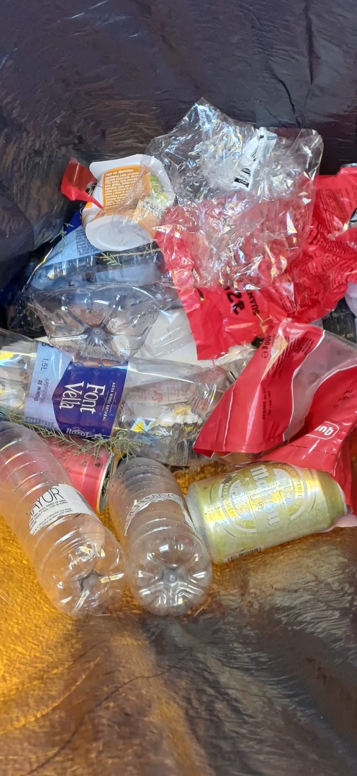 Las imágenes de la jornada de limpieza en el parque de la Gola