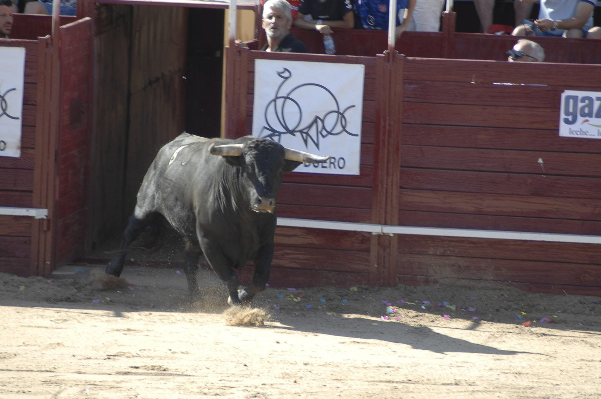 GALERÍA | Unos cuantos cortes de los arriesgados en Benavente