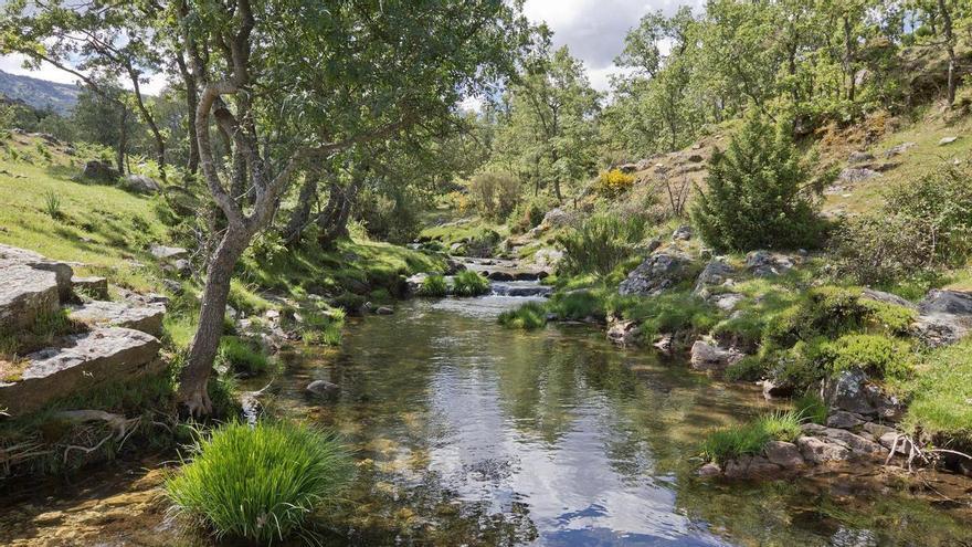 Pedalear hacia la Morcuera: así es la ruta serrana que remonta el arroyo del Aguilón