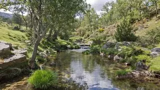 Pedalear hacia la Morcuera: así es la ruta serrana que remonta el arroyo del Aguilón