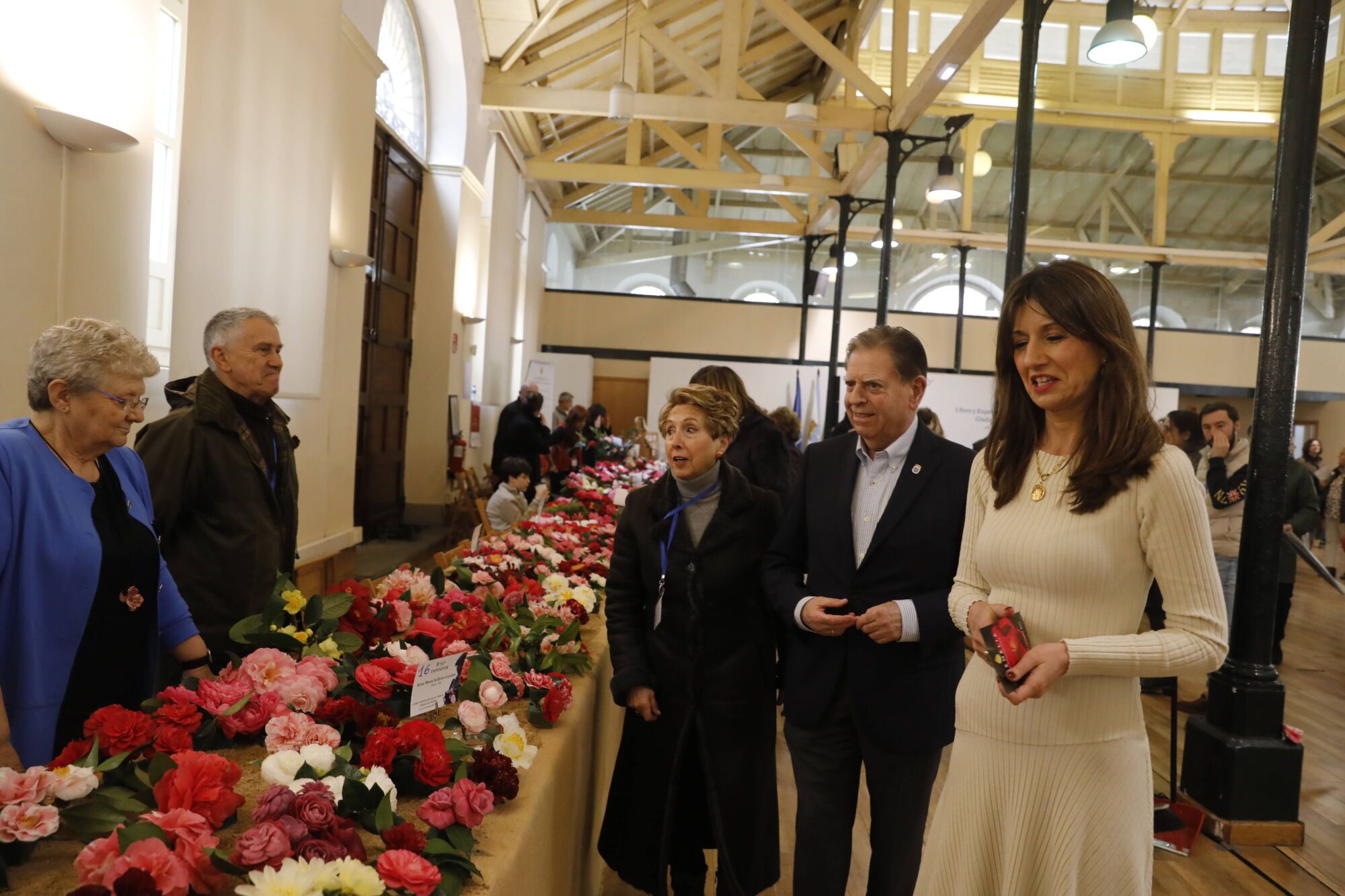 EN IMÁGENES: El color de las camelias alegra Oviedo 