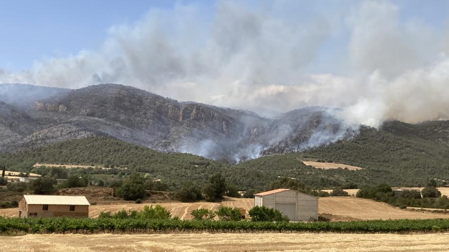 L&#039;incendi d&#039;Artesa de Segre afecta un mínim de 500 hectàrees