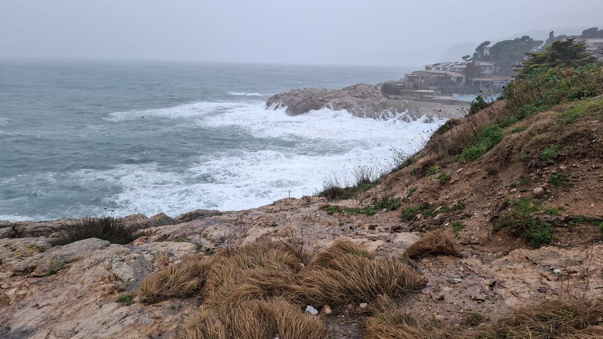 Les fotos dels efectes de la llevantada a les comarques gironines