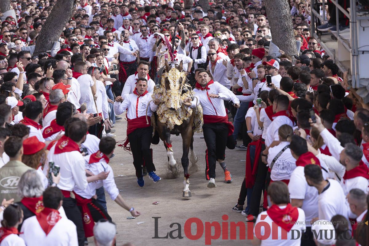 Así se ha vivido la carrera de Los Caballos del Vino en Caravaca