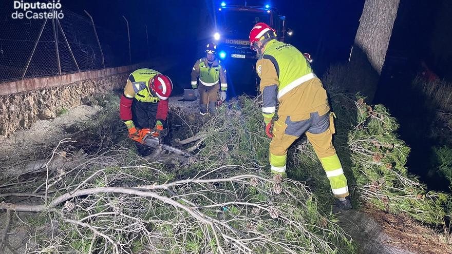Los vientos de más de 120 km/h en Castellón tumban árboles y cableado eléctrico