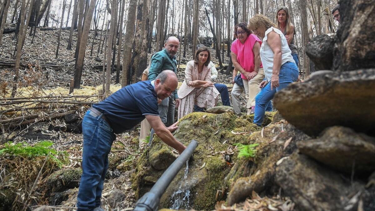 La conselleira de Medio Ambiente, tercera por la izquierda, con munícipes y técnicos en el monte quemado en Padrón