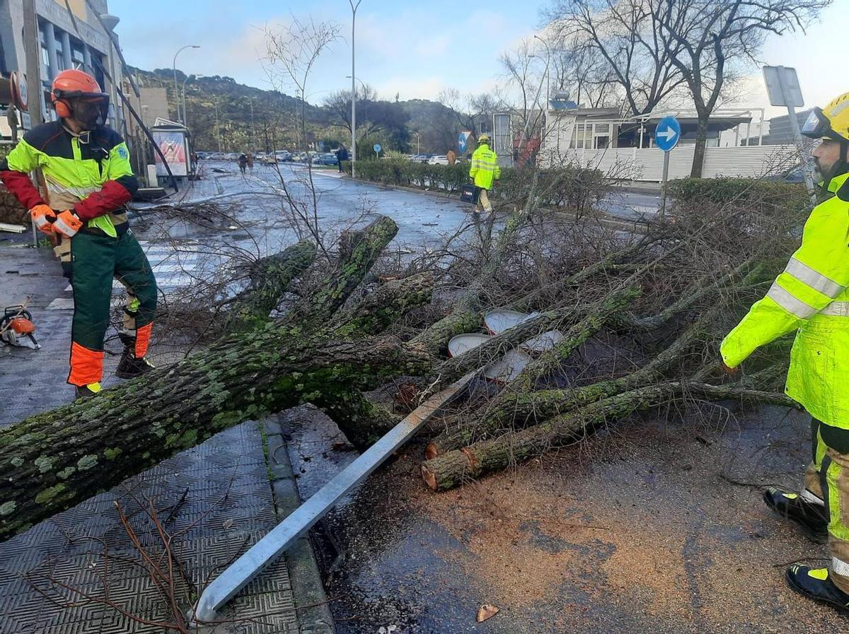 Fotogalería | Un tornado provoca numerosos destrozos en Plasencia Fotogalería | Un tornado provoca numerosos destrozos en Plasencia