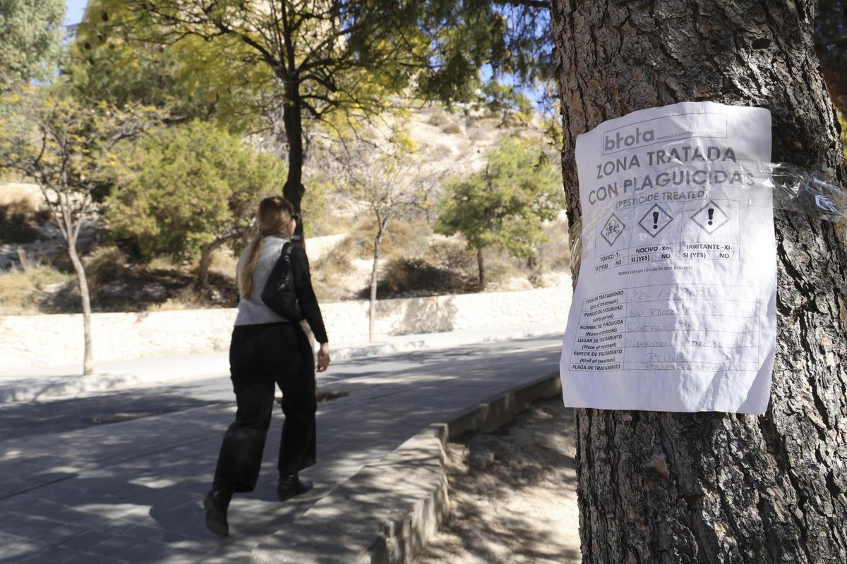 Cartel de tratamiento antiplagas en el Tossal.