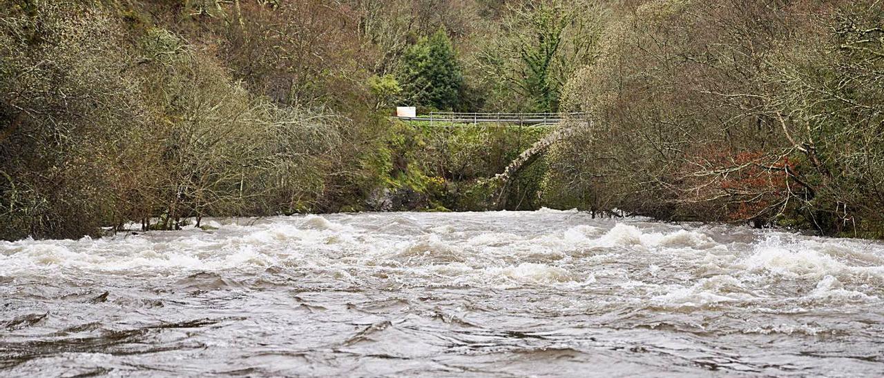 El río Deza a su paso por el área recreativa de A Carixa, tras la borrasca Karim. |   // BERNABÉ