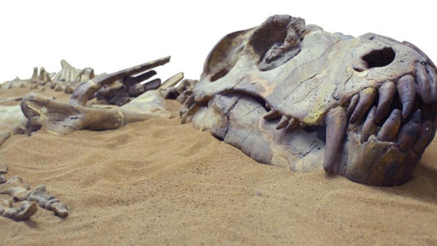 Cuál es el verdadero origen de los dinosaurios? - La Opinión de Murcia Cuál es el verdadero origen de los dinosaurios? - La Opinión de Murcia