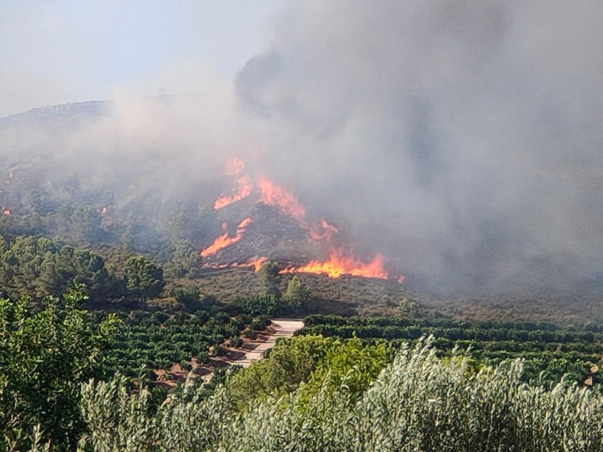 Un incendio en Rafelguaraf obliga a desalojar una urbanización