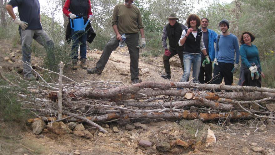 Voluntarios participan en las tareas de repoblación del monte Roldán.