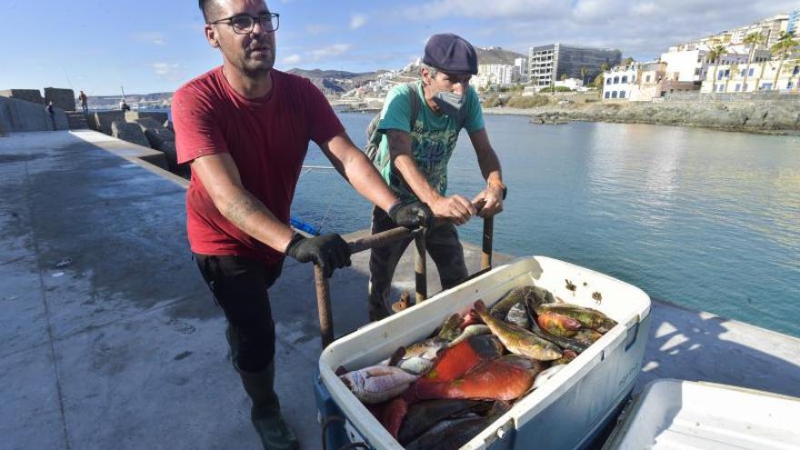 Campaña de la vieja en el muelle pesquero de San Cristóbal