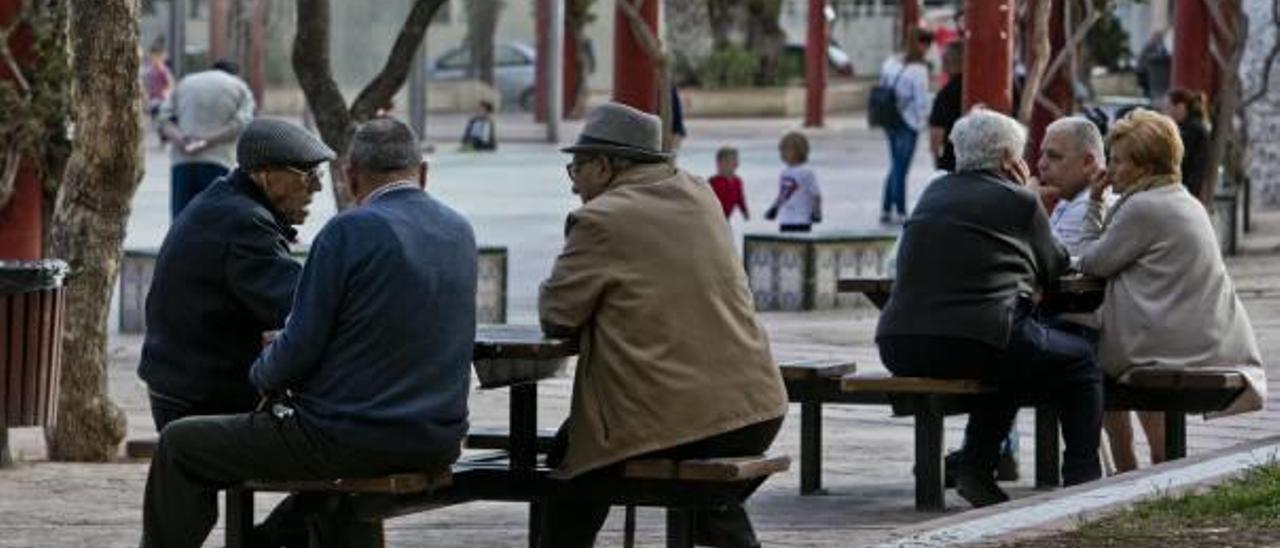 Vecinos jubilados de Elche en una jardín del barrio de Carrús.