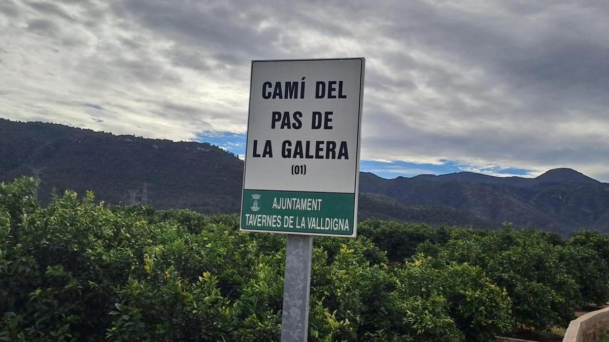 Partida a on es volia situar la planta a Tavernes