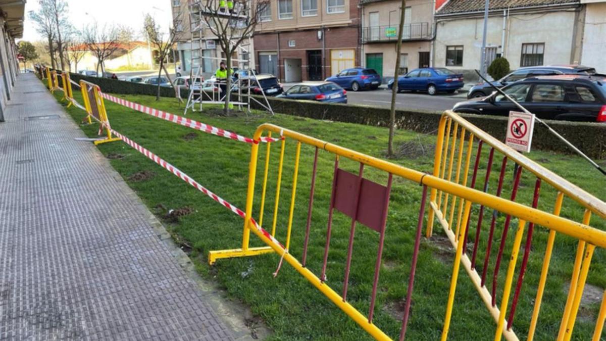 Comienzan los trabajos municipales para erradicar los topos en los jardines del barrio de Santa Clara | E. P.