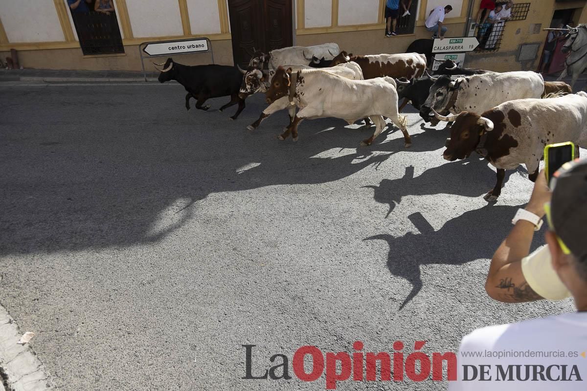 Cuarto encierro en las Fiestas de Moratalla