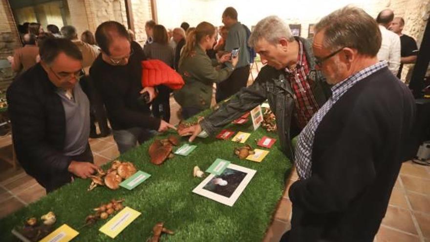 Entrega del premio a Amer tras abrir las exposiciones, un acto al que no faltó el alcalde.