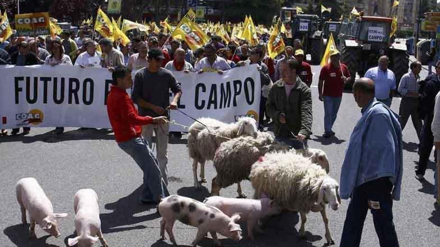 Manifestación de agricultores zamoranos contra la PAC en 2012.