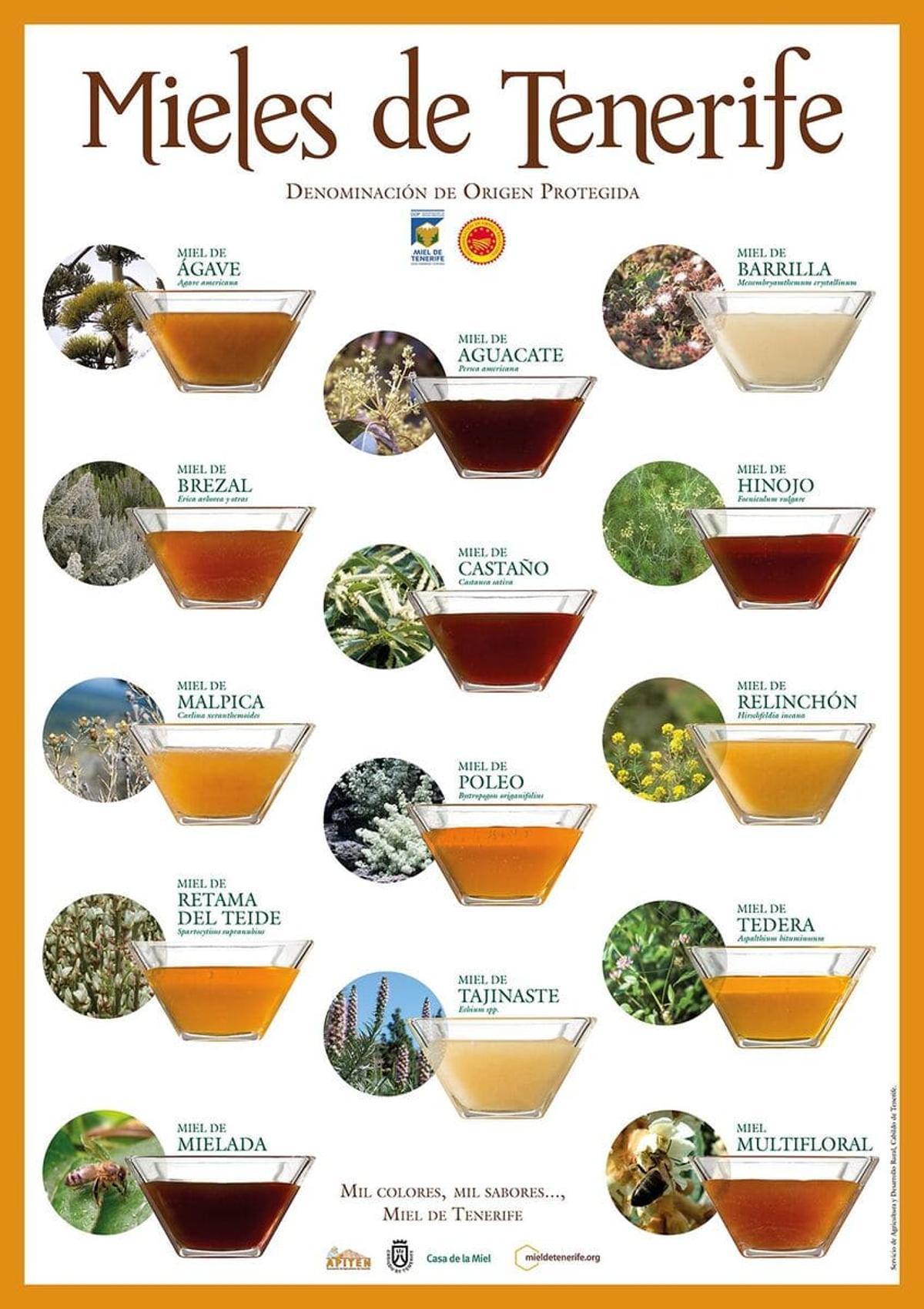 DOP Mieles de Tenerife.