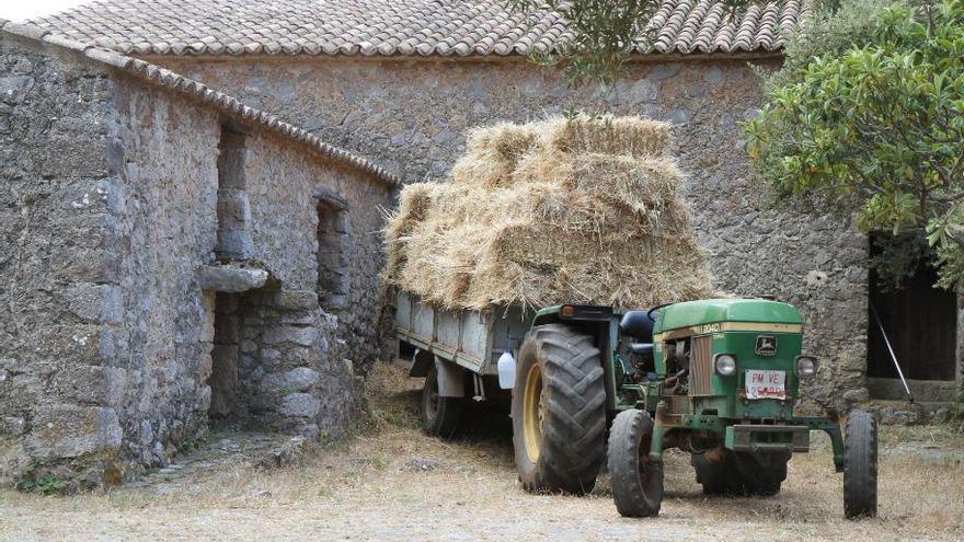 Archivbild eines Traktors auf Mallorca