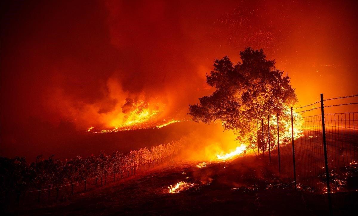 zentauroepp50571706 topshot   flames enter a vineyard during the kincade fire ne191025173515