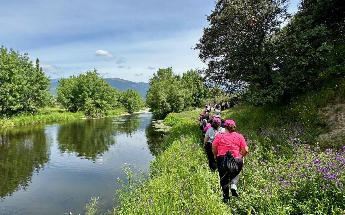 La estrategia de Toledo para consolidarse como referente turístico en FITUR: nueva feria gastronómica, oleoturismo y experiencias