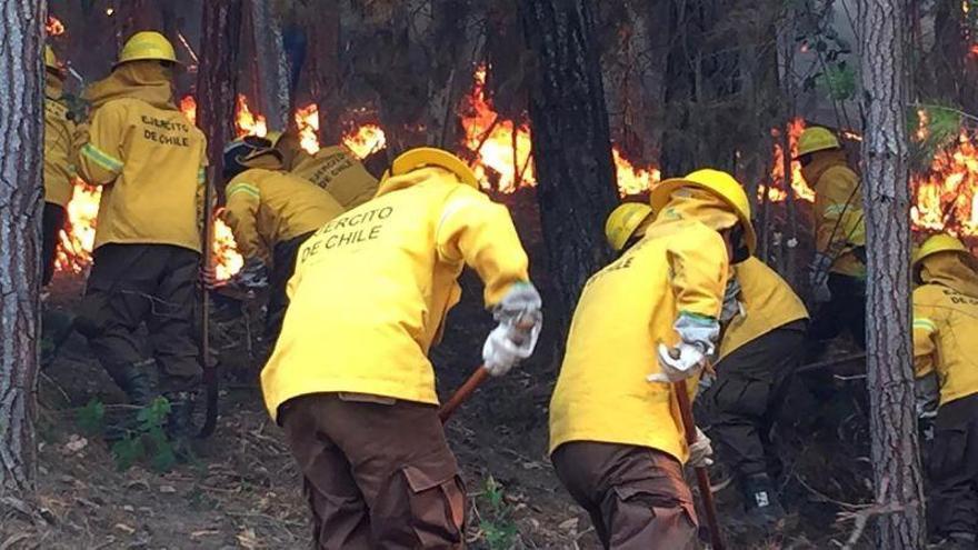 Decretan estado de catástrofe en Chile por la presencia de 630 incendios forestales