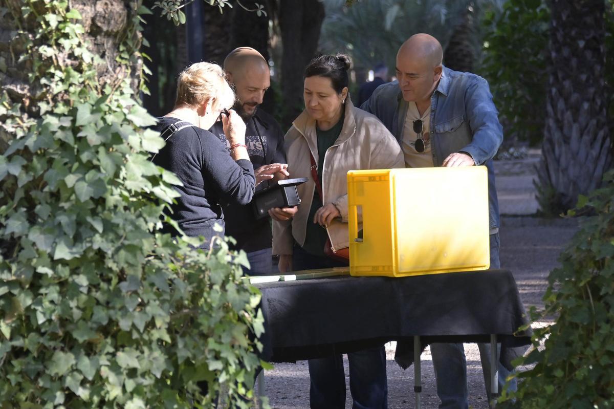Así ha sido el scape room para reivindicar el Palmeral de Elche
