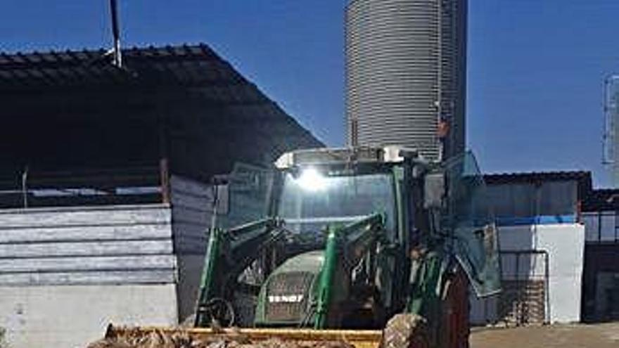 Nueve mil pavos destinados a los pedidos para Navidad perecen en una granja de Dolores