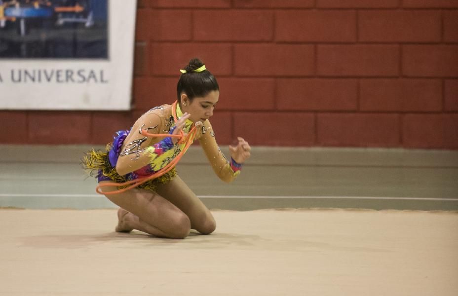 Exhibición de la Escuela de gimnasia rítmica