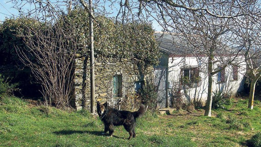 Casa abandonada en una aldea de Lalín