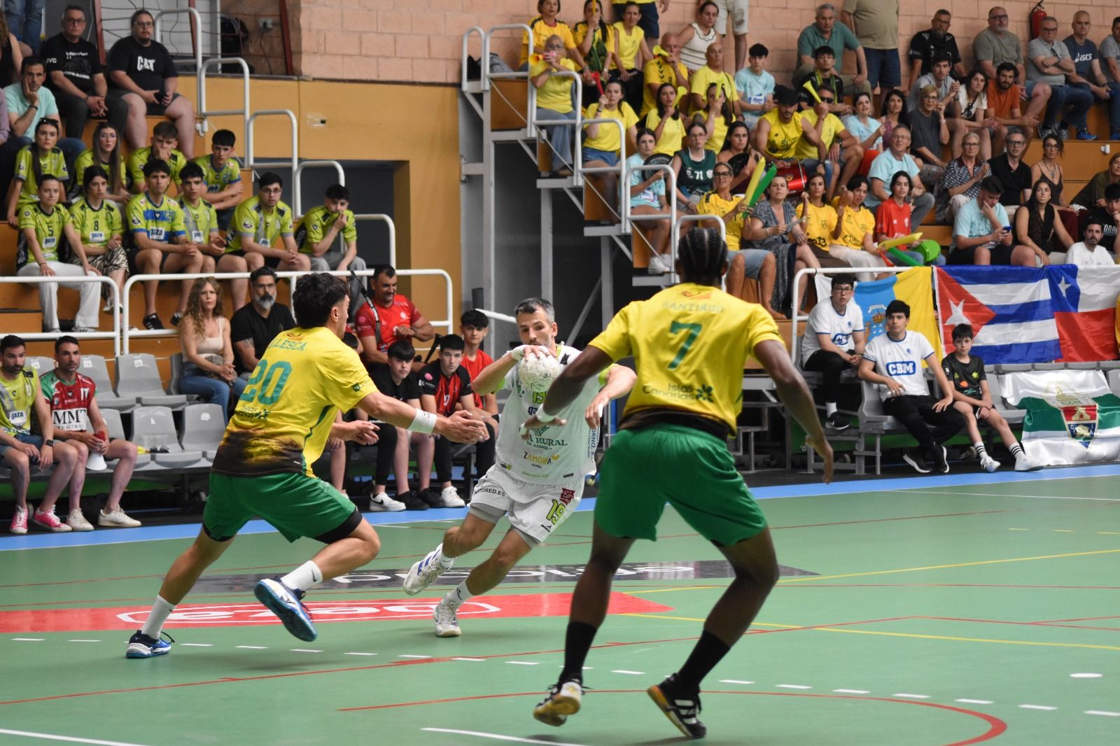 Balonmano Zamora