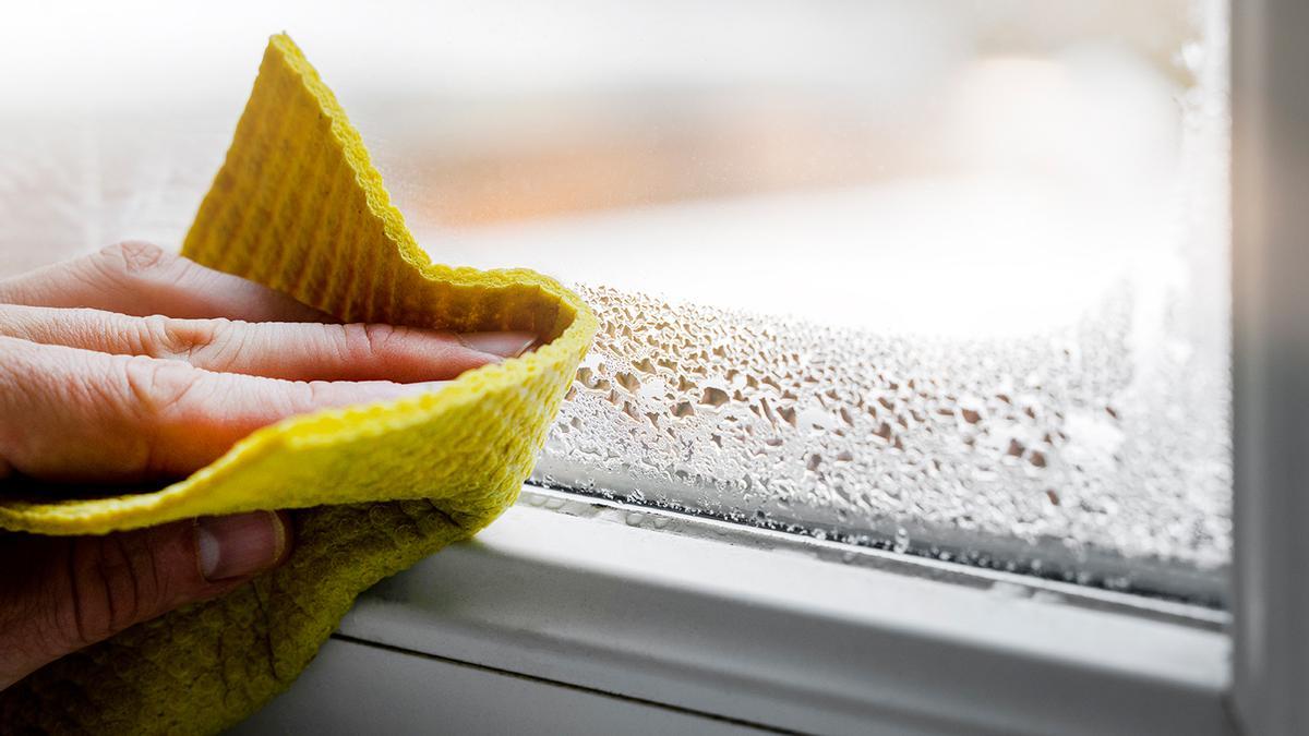 Adiós a la condensación de las ventanas: la solución portátil de Ikea que limpia el aire y deja un buen olor