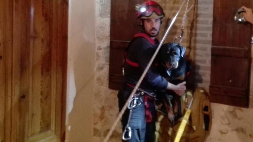Un bombero con el perro rescatado.