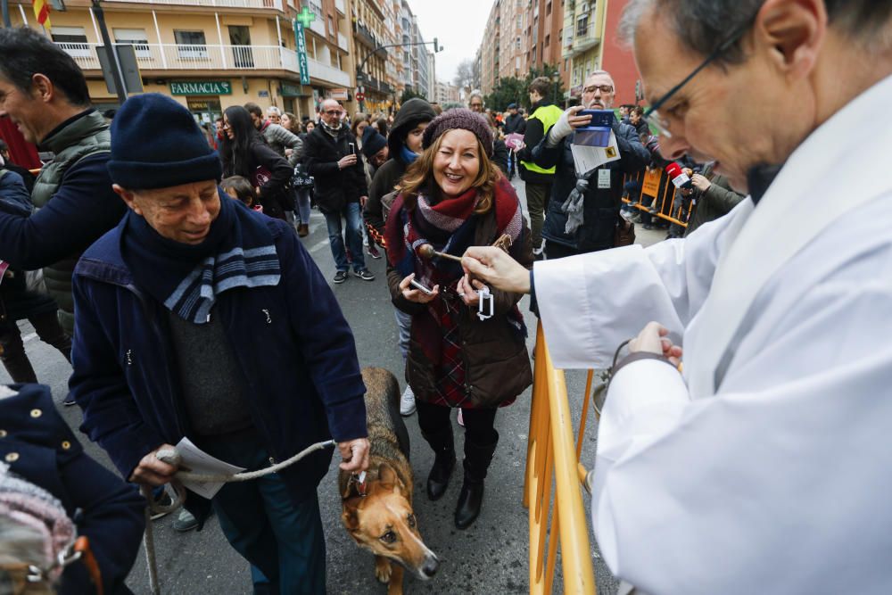 Festividad de Sant Antoni en València