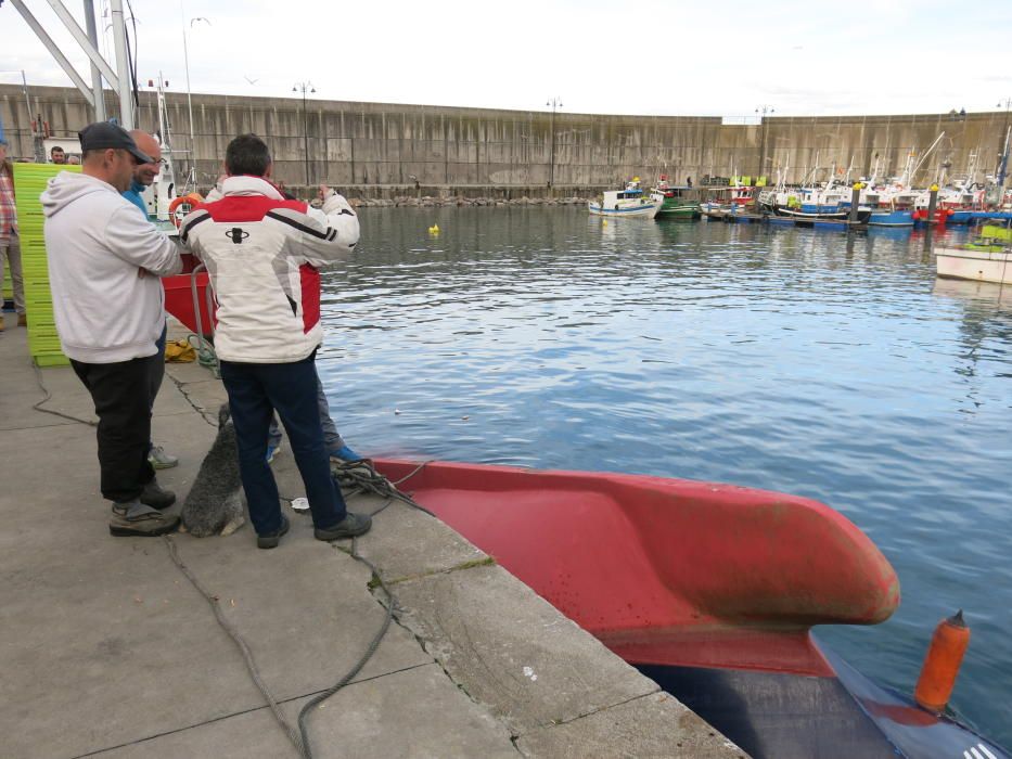 Vuelca un barco en Lastres mientras descargaba xarda