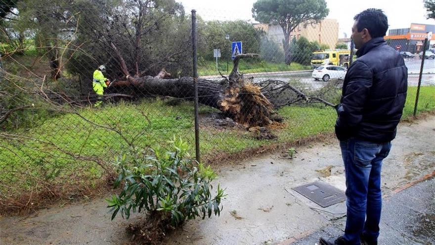 Más de1.500 incidencias en Andalucía por viento y lluvias