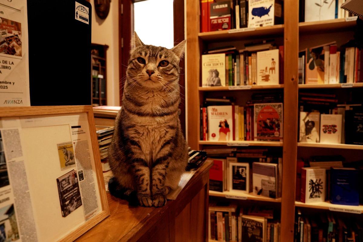 Urueña, el pueblo de las librerías