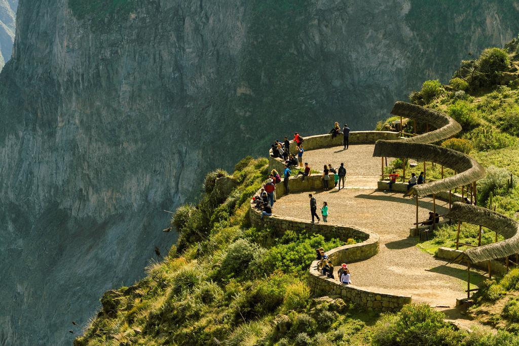 Desde el balcón de observación del Cañón del Colca se pueden observar los cóndores andinos.