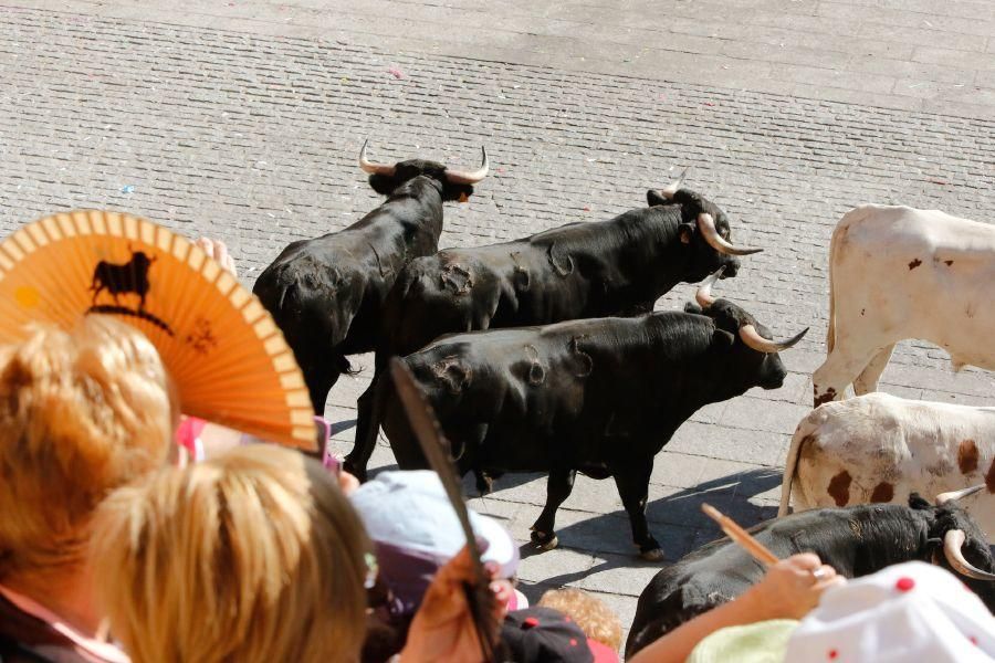 Fiestas en Zamora: Último encierro en Fermoselle