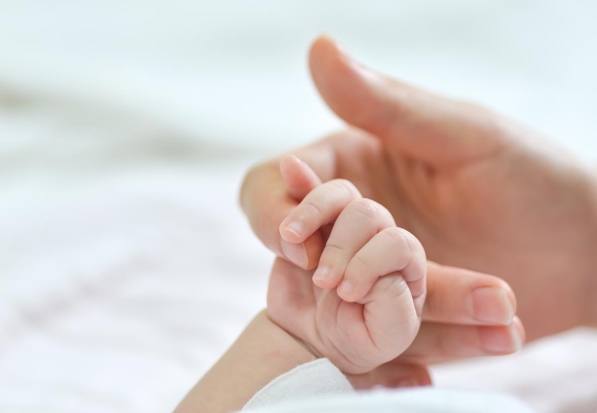 La técnica de rejuvenecimiento ovárico es regenerar las células del ovario en estas pacientes para aumentar sus posibilidades de ovular adecuadamente