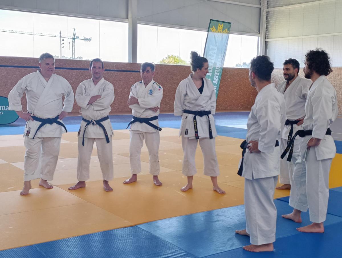 La Fresneda, en Siero, "feminiza" los tatamis de su polideportivo