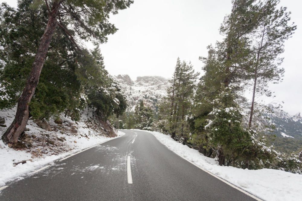 Nieve en la Serra de Tramuntana