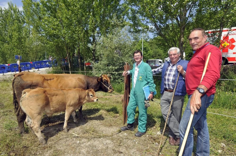 Feria de La Ascensión en Olloniego