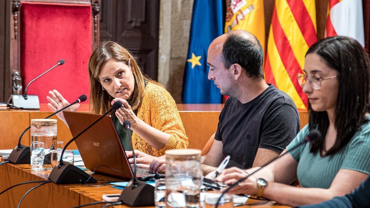 Mariona Homs, regidora de Drets Socials i Persones Grans, intervenint al ple municipal