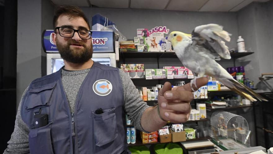 Las tiendas de animales temen una caída del 70% de actividad con la nueva ley de protección