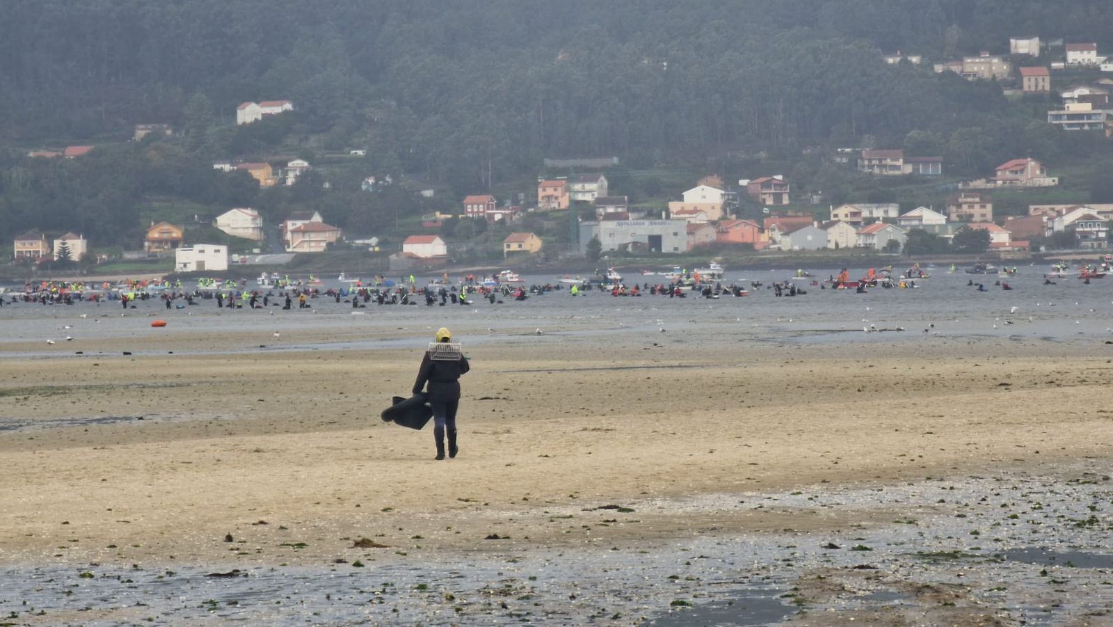 Así es el día a día en el puerto y la lonja de O Testal (Noia), donde cada vez se dan cita más mariscadores arousanos.